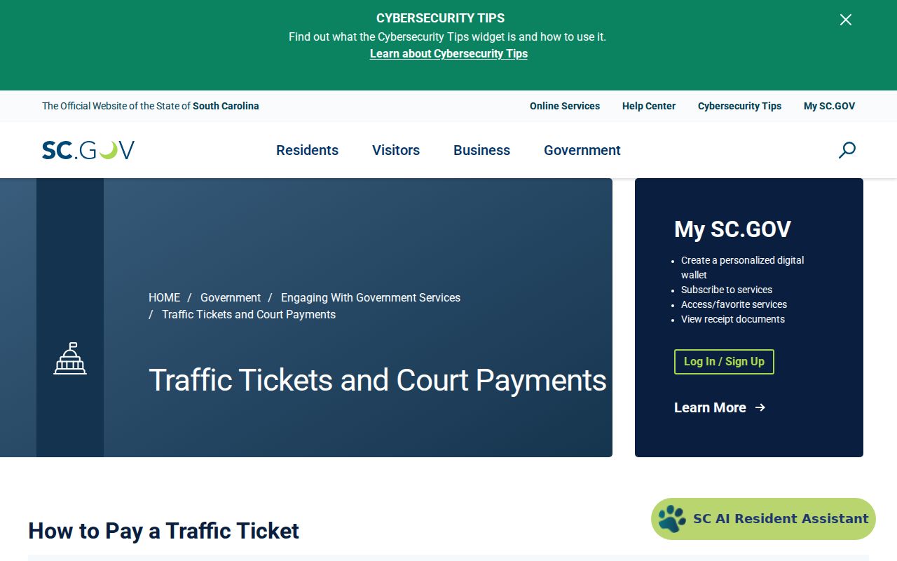 South Carolina traffic-ticket payment guidance and entry delay notice